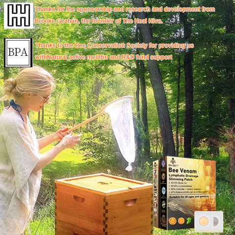 GFOUK™ Bee Venom Lymphatic Drainage Slimming Patch 🔥Limited time 70% OFF🔥
